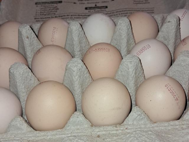 Hochgeladen von: geroldwirdfit