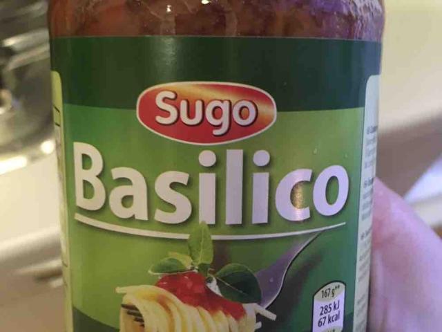 Sugo, Basilico von carolina55555 | Hochgeladen von: carolina55555