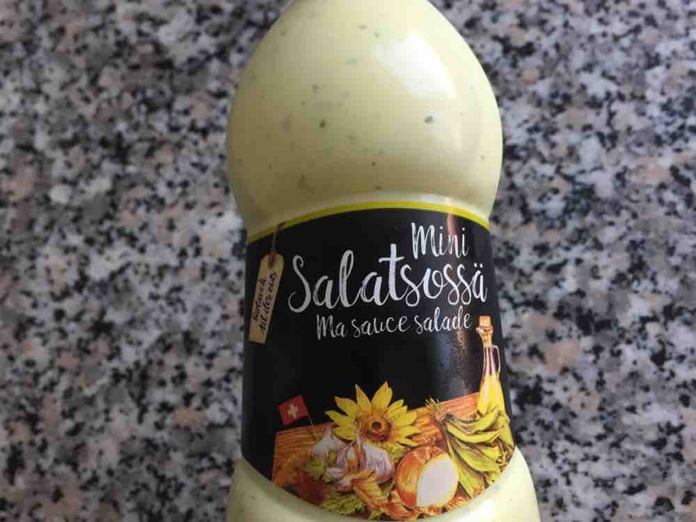 Mini Salatsauce, Bärlauch von Polodriver | Hochgeladen von: Polodriver