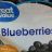 Blueberries von MaikeMonsta | Hochgeladen von: MaikeMonsta