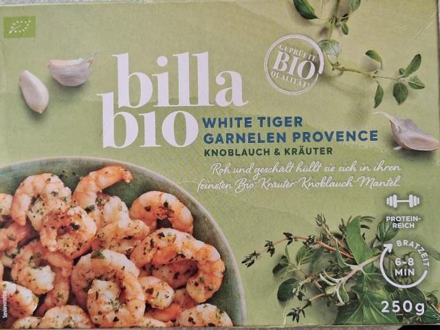 Uploaded by: Loni1986