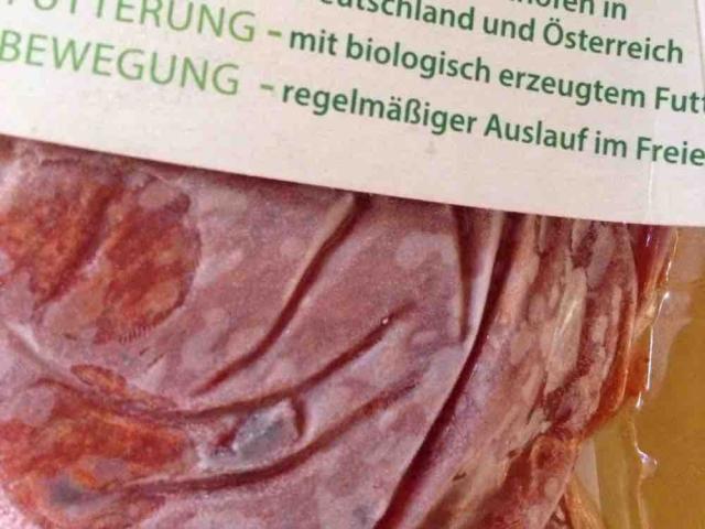 Puten Paprikasteaks , aus dem Oberschenkel von msdo | Hochgeladen von: msdo