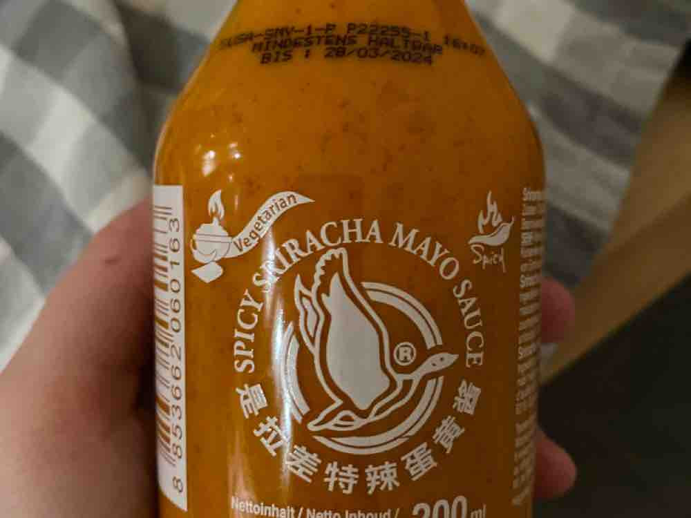 Spicy Sriracha Mayo Sauce von Michelle2605 | Hochgeladen von: Michelle2605