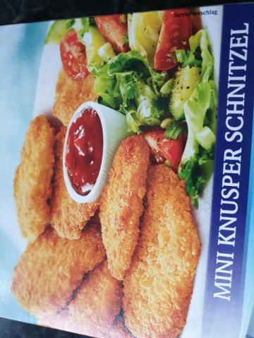 Mini Knusper Schnitzel, in Knuspermarnade vom Schweinelachs von  | Hochgeladen von: Marion0219