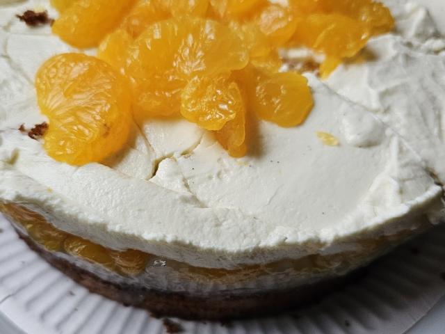 Quark-Sahne-Torte mit Mandarinenbelag von Dieter 4465 | Hochgeladen von: Dieter 4465