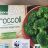 Bio Broccoli, erntefrisch tiefgefroren von PaMe | Hochgeladen von: PaMe
