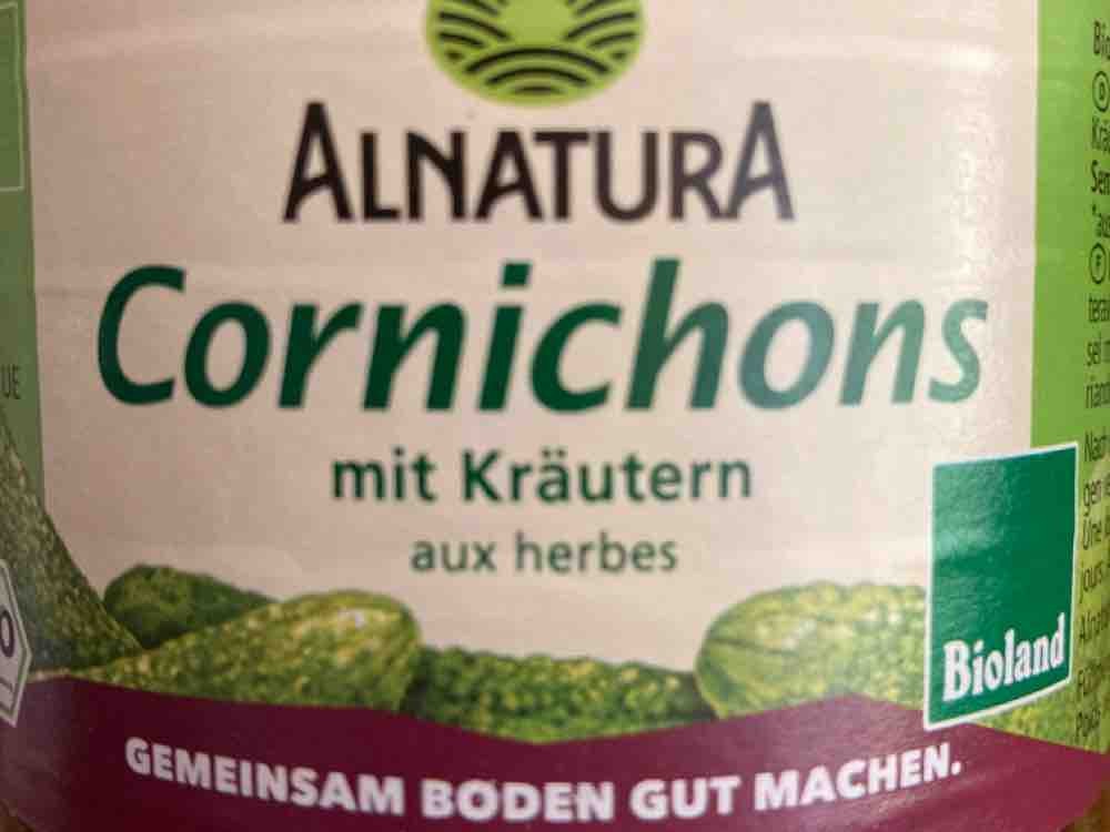 Cornichons, mit Kräutern von Pille04 | Hochgeladen von: Pille04