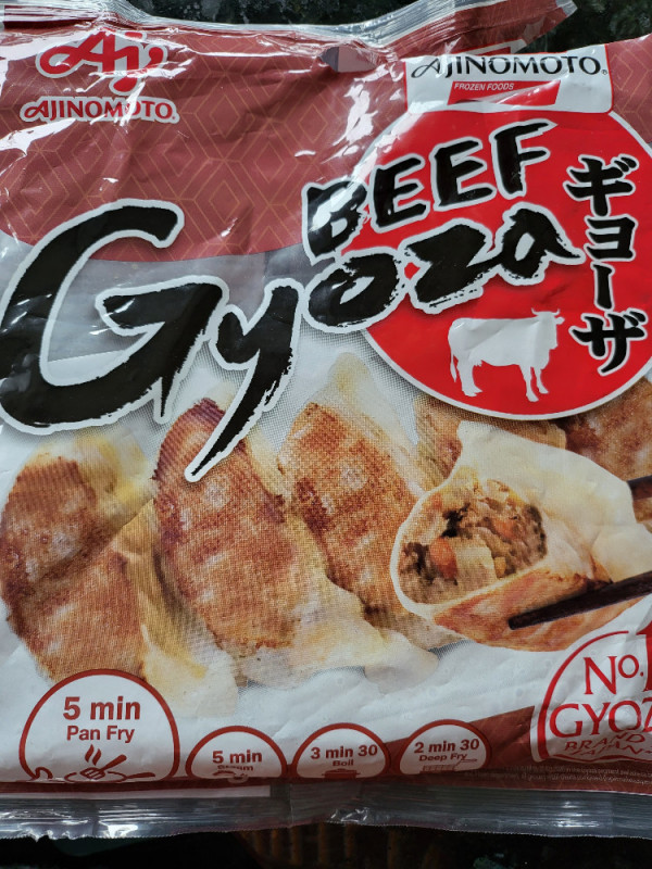 Beef Gyoza by Jimmi23 | Hochgeladen von: Jimmi23