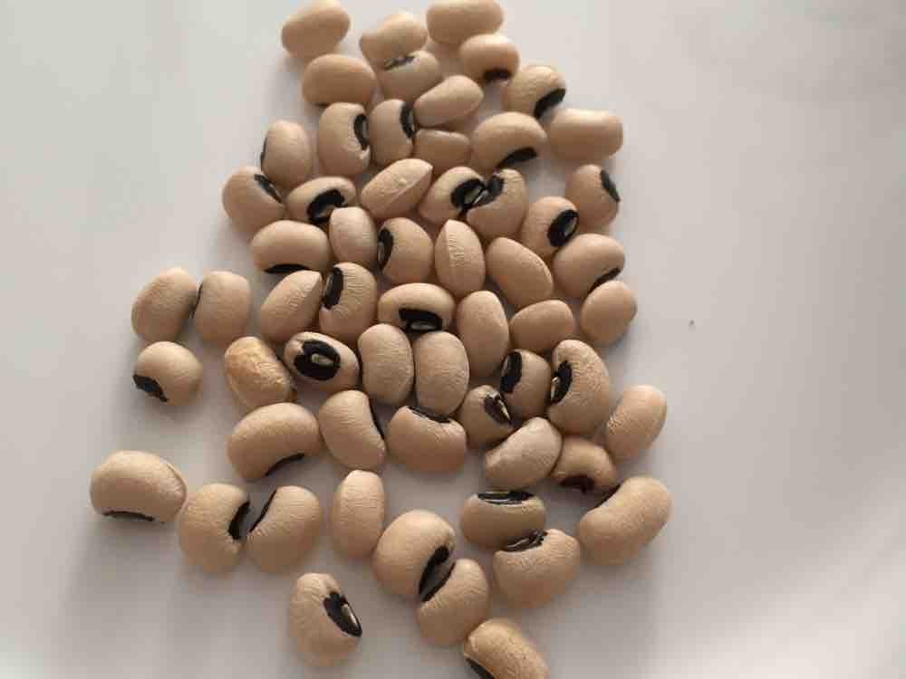 Boiled Black Eye Beans von batth712 | Hochgeladen von: batth712