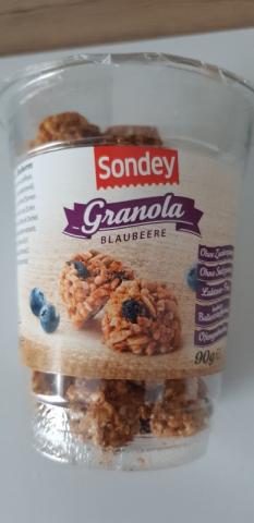 Granola Blaubeere von Michael175 | Hochgeladen von: Michael175