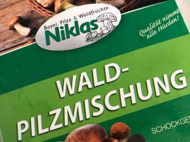 Wald Pilzmischung von Schmetterliiing | Hochgeladen von: Schmetterliiing