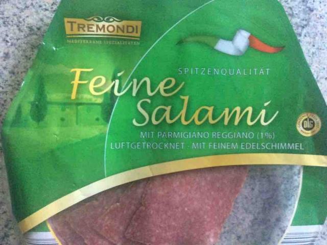 feine Salami mit parmesan von zwergieelke | Hochgeladen von: zwergieelke