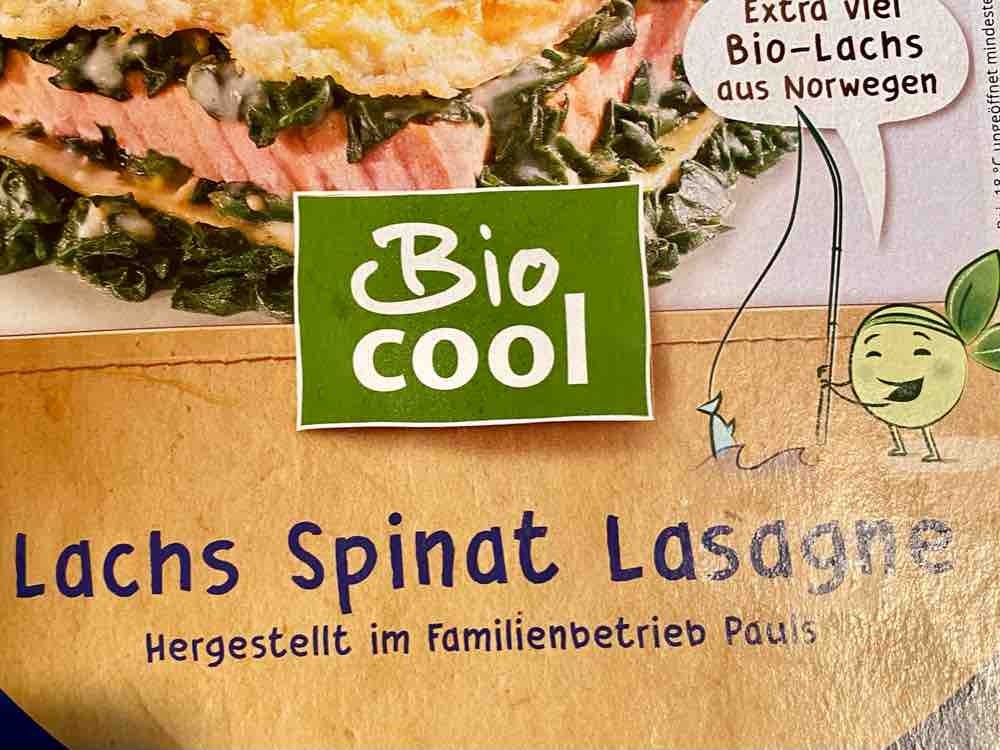 Lachs  Spinat Lasagne von Uli007 | Hochgeladen von: Uli007