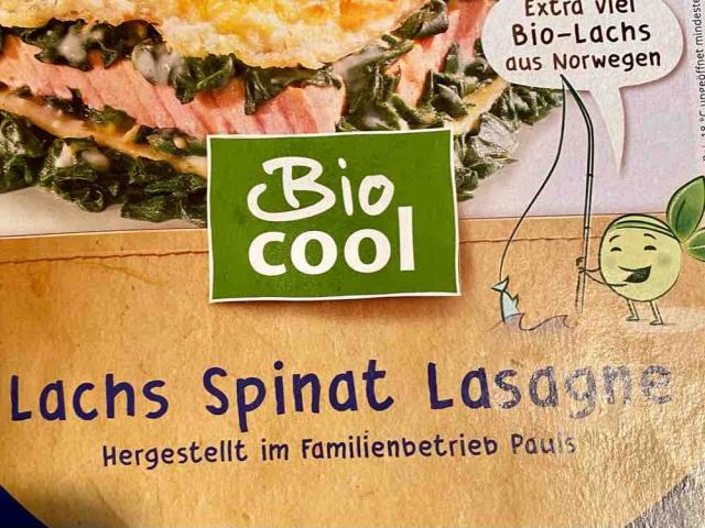 Lachs  Spinat Lasagne von Uli007 | Hochgeladen von: Uli007