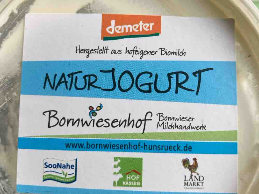 Naturjoghurt, 45% von moiramalta | Hochgeladen von: moiramalta