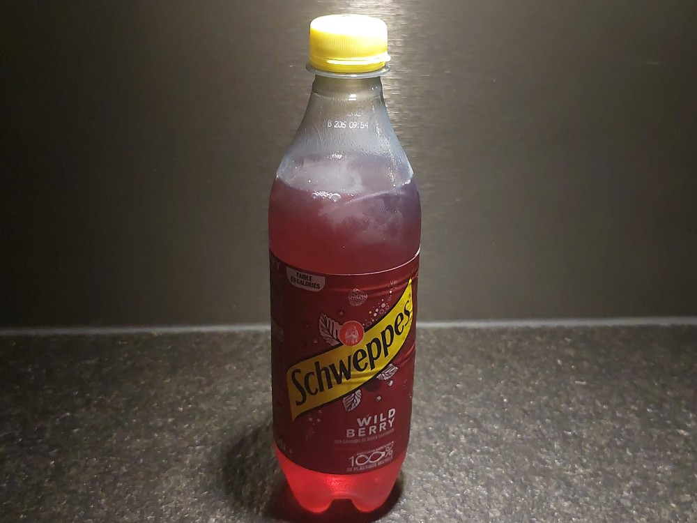 Hochgeladen von: ewigeslicht