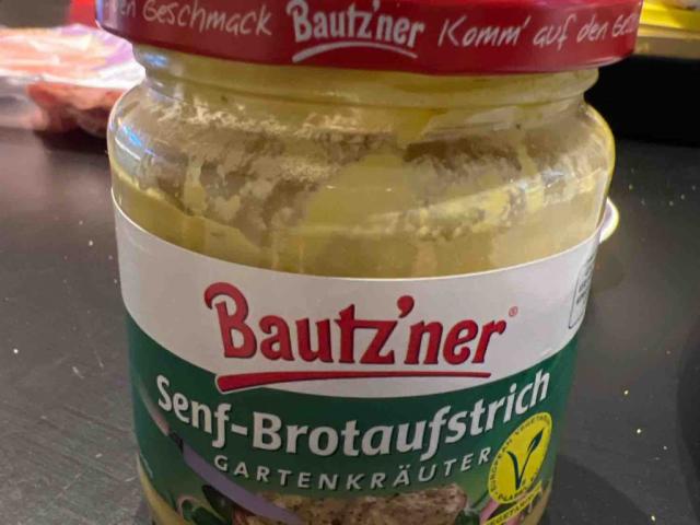 Bautzner Senf-Brotaufstrich, Gartenkräuter von aennakoerner | Hochgeladen von: aennakoerner967