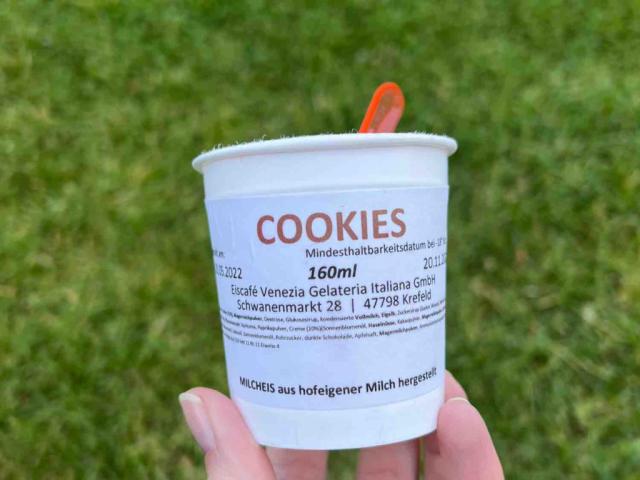 Cookies Eis, 160ml von bucksteegen | Hochgeladen von: bucksteegen