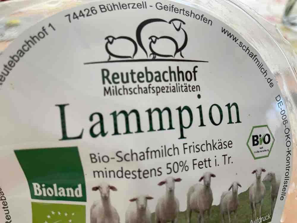 Schafsmilch Frischkäse, 50 % Fett i. Tr. von hhe2411 | Hochgeladen von: hhe2411