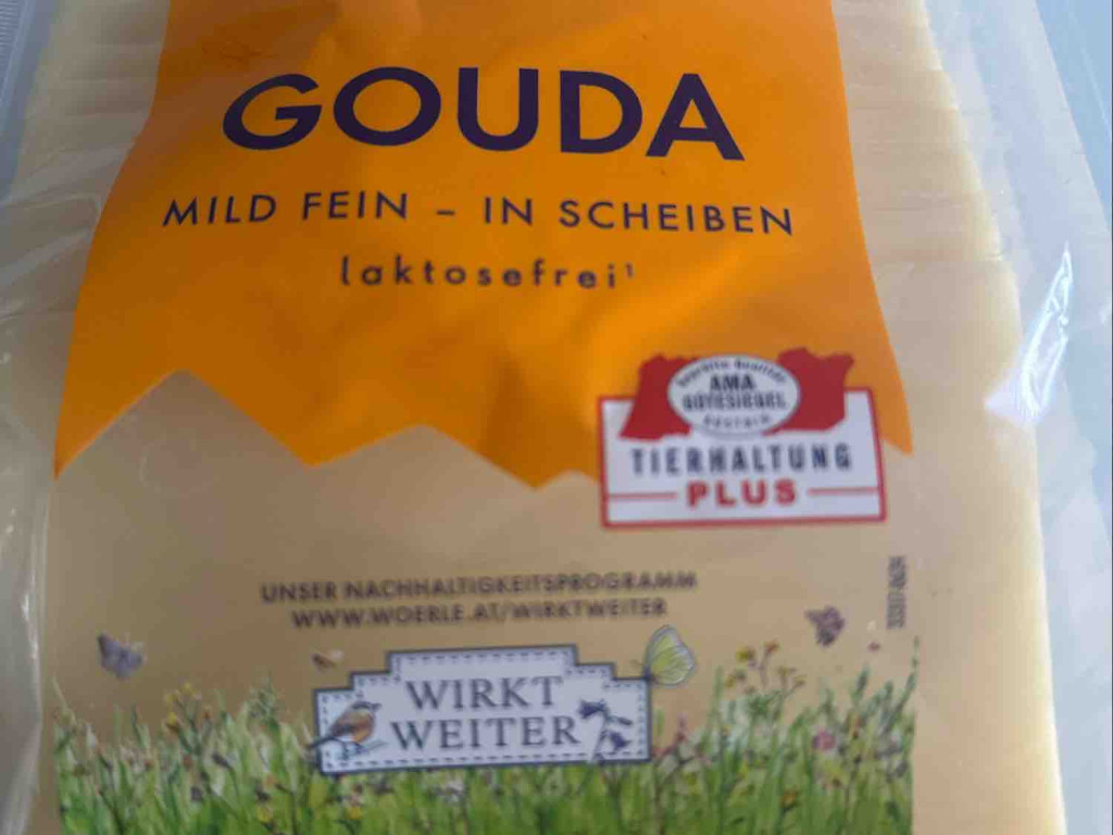 Gouda, 45% fett von Kornelka66 | Hochgeladen von: Kornelka66