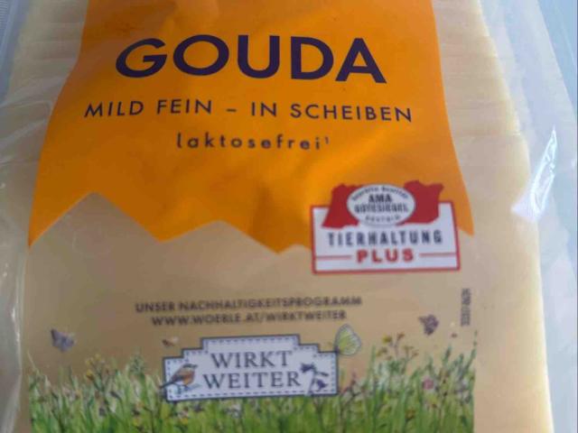 Gouda, 45% fett von Kornelka66 | Hochgeladen von: Kornelka66