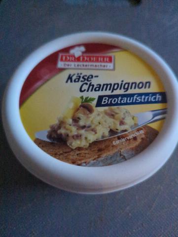 Käse-Champion, Brotaufstrich von chalaia | Hochgeladen von: chalaia