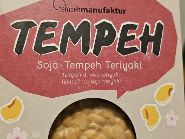 Soja-Tempeh Teriyaki by SomZa | Uploaded by: SomZa