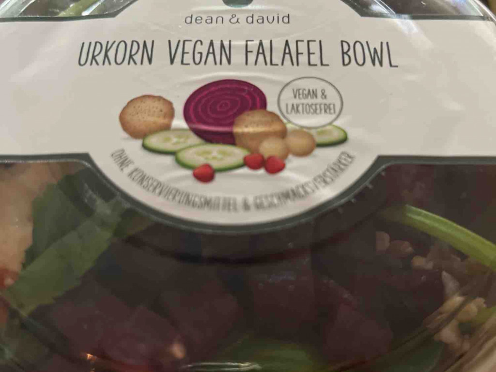 urkorn vegan falafel bowl von criemer | Hochgeladen von: criemer