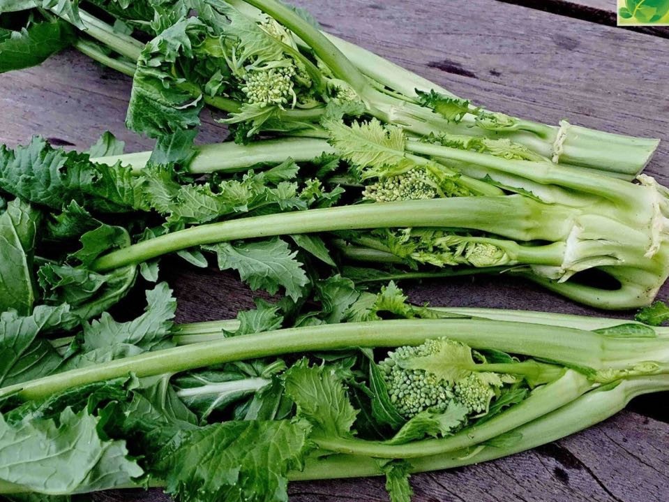 Hochgeladen von: moniwehrli