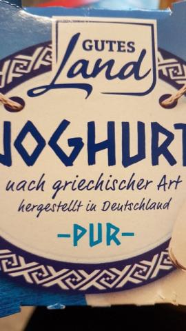 Joghurt nach griechischer Art, Pur von Tina65 | Hochgeladen von: Tina65