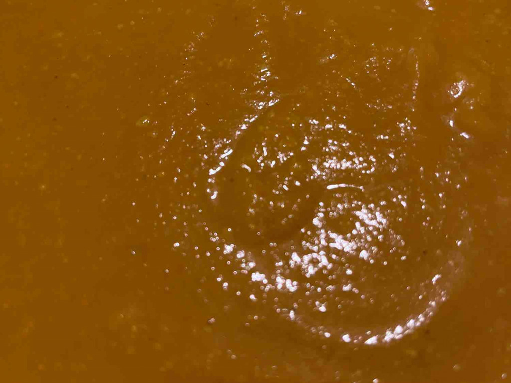 Kürbis-Orangensuppe mit Ingwer von auroranuklearis | Hochgeladen von: auroranuklearis