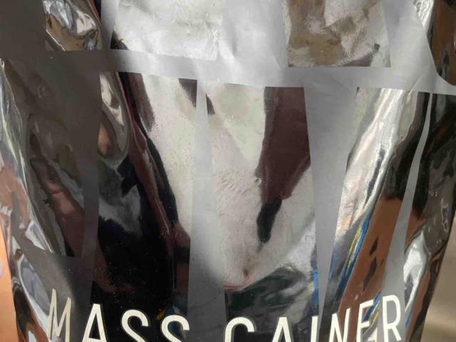 MASS GAINER, Wasser von jaxxen | Hochgeladen von: jaxxen