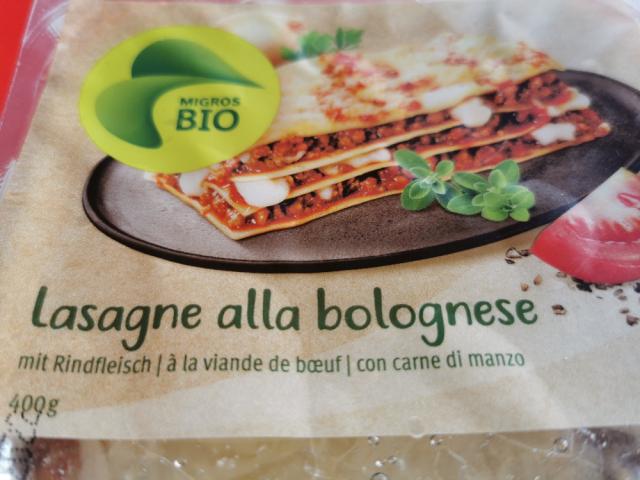 Lasagne alla bolegnese, mit Rindfleisch by cannabold | Uploaded by: cannabold