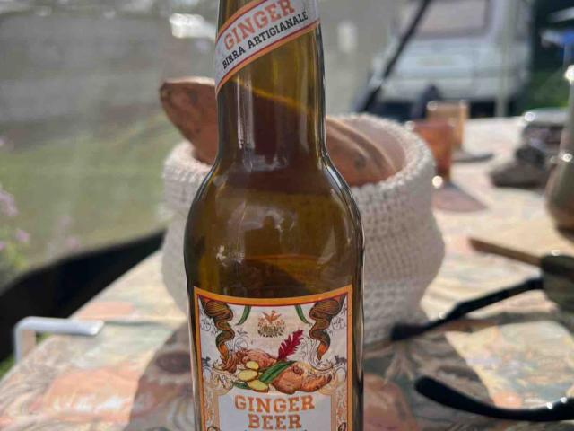 Ginger Beer, alkoholfrei von Sportster | Hochgeladen von: Sportster