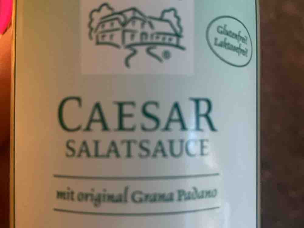 Caesar Salatsauce von leuchteline | Hochgeladen von: leuchteline