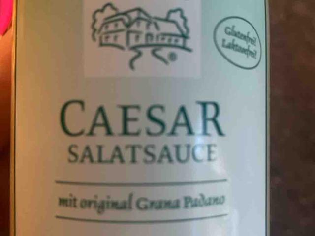 Caesar Salatsauce von leuchteline | Hochgeladen von: leuchteline