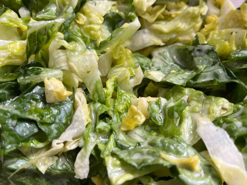 Grüner Salat, mit Marinatl von SilviNe | Hochgeladen von: SilviNe Grüner Salat, mit Marinatl von SilviNe | Hochgeladen von: SilviNe