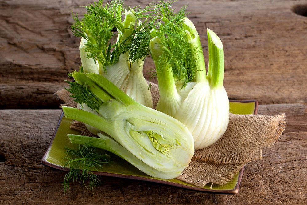 Fenchel von Silvan | Hochgeladen von: Silvan