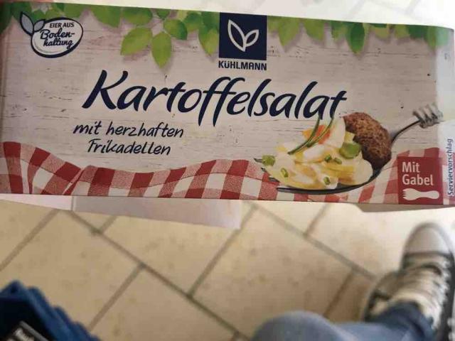 Kleine Gourmet-Mahlzeit, Kartoffelsalat mit Frikadellen von sand | Hochgeladen von: sandrafiechtner466