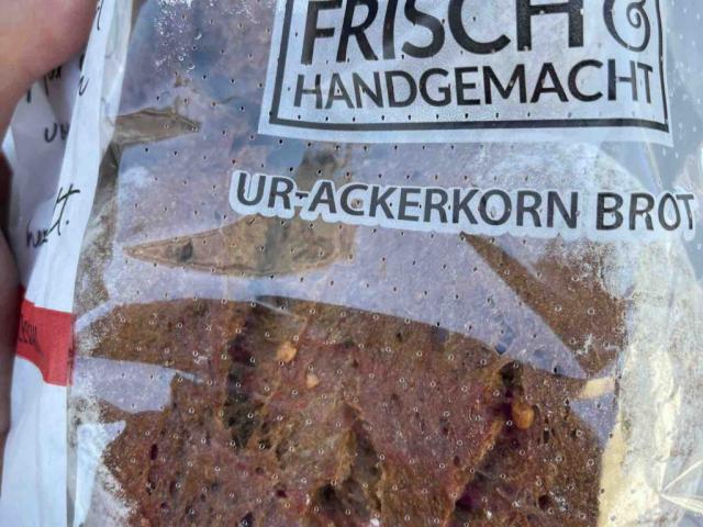 Ur-Ackerkornbrot von kuschelbaerch | Hochgeladen von: kuschelbaerch