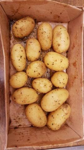 So Potat Oh, Kartoffel Geschwelte | Hochgeladen von: thompewe
