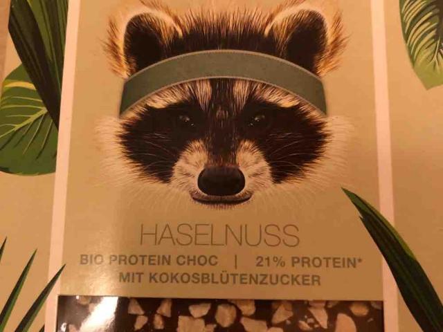raccoon Bio Protein Choc, Haselnuss von learntolove | Hochgeladen von: learntolove