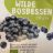 Wilde bosbessen Biologisch, Blaubeeren von aarde12771 | Hochgeladen von: aarde12771