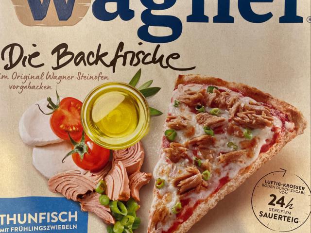 thunfisch mit fruehlingszwiebeln, die backfrische by KaterynaN | Hochgeladen von: KaterynaN