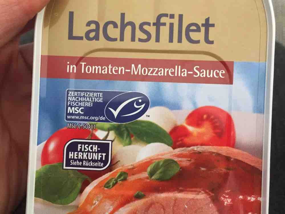 Lachsfilet, in Tomate Mozzarella von ilobatzi | Hochgeladen von: ilobatzi