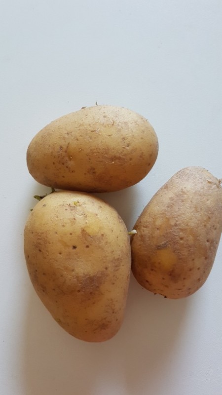 Kartoffeln festkochend, kartoffel von schnufflpuffl | Hochgeladen von: schnufflpuffl