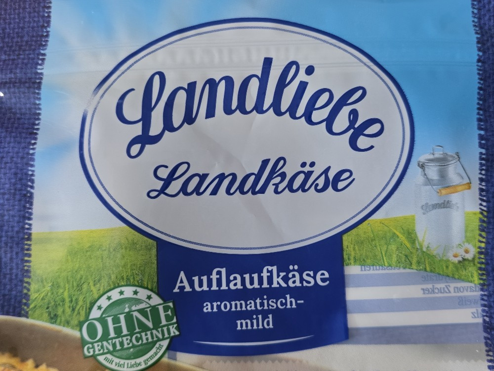 Hochgeladen von: meiersjessica378