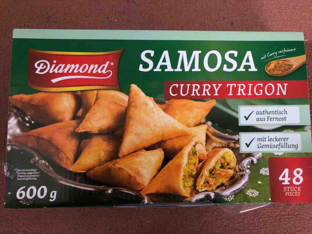 Samosa , Curry Trigon  von issight | Hochgeladen von: issight