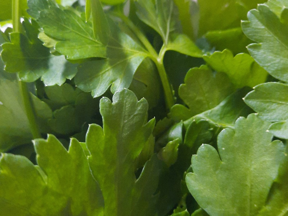 Hochgeladen von: MartinaGö