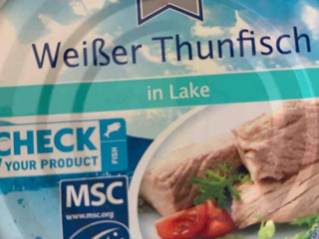 Weisser Thunfisch, in Lake von info117 | Hochgeladen von: info117